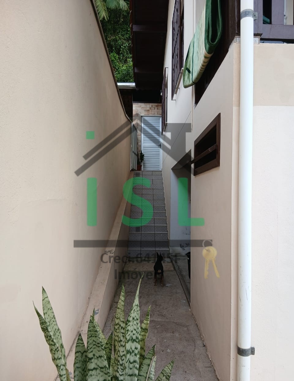 Imagem do imóvel Itoupava Central