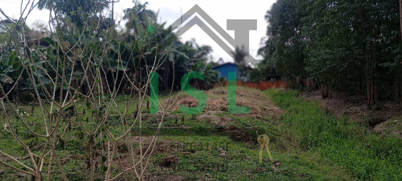 Imagem do imóvel Riachuelo - Lontras