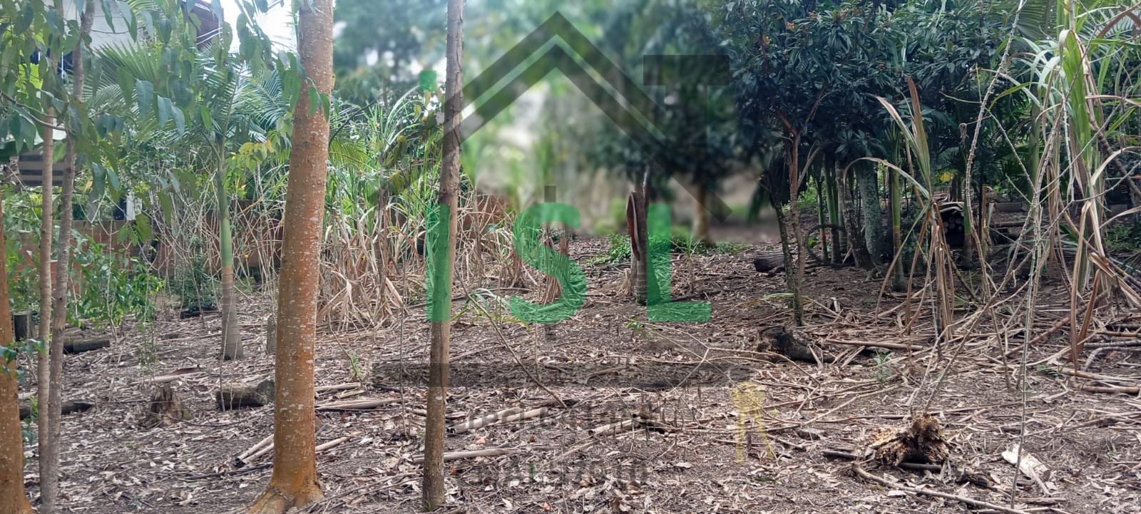 Imagem do imóvel Riachuelo - Lontras